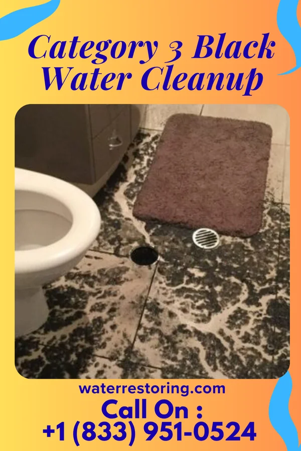Category 3 Black Water Cleanup in West Falls Church, VA
