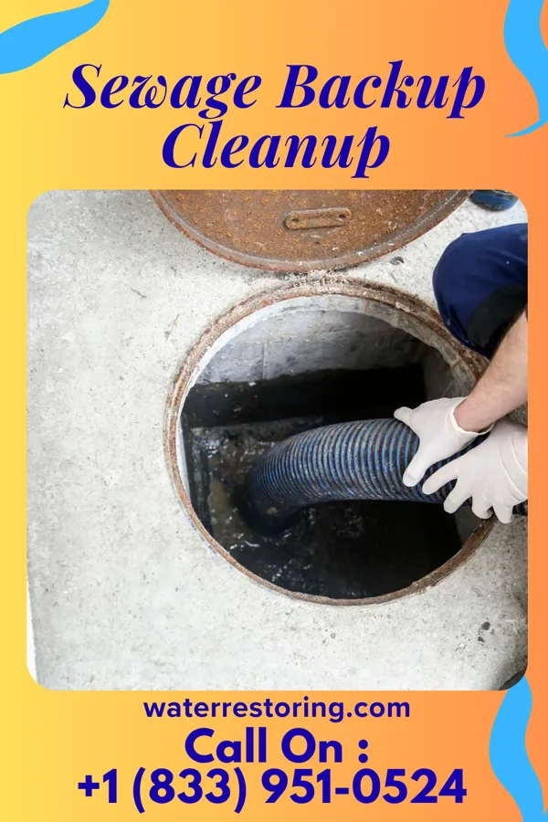 Sewage Backup Cleanup in West Falls Church, VA