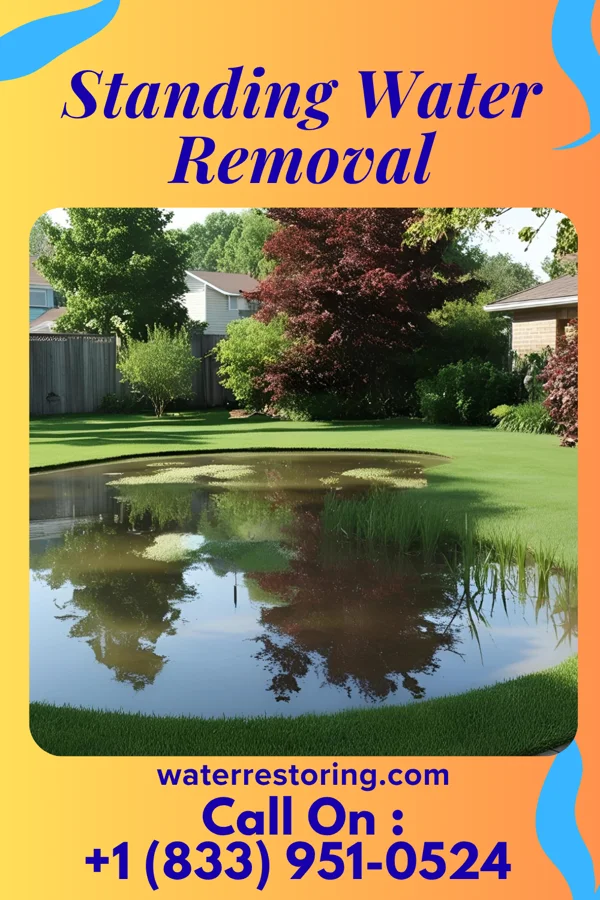 Standing Water Removal in West Falls Church, VA